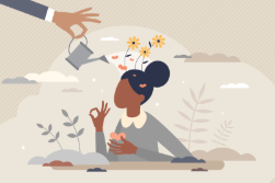 Aguas, hierbas, aceites y más