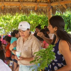 Garden workshop at home